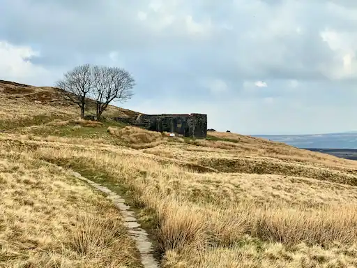 Picture of the ruins of Top Withens